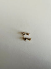 Load image into Gallery viewer, Cole Earrings
